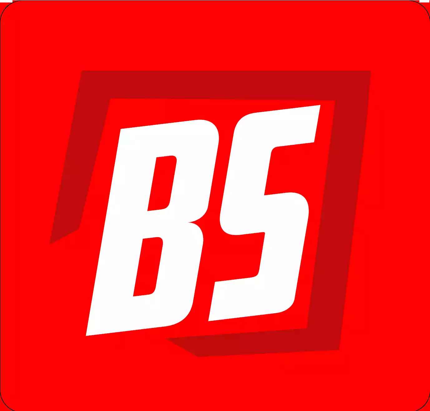 Bangladeshi Software Ltd.